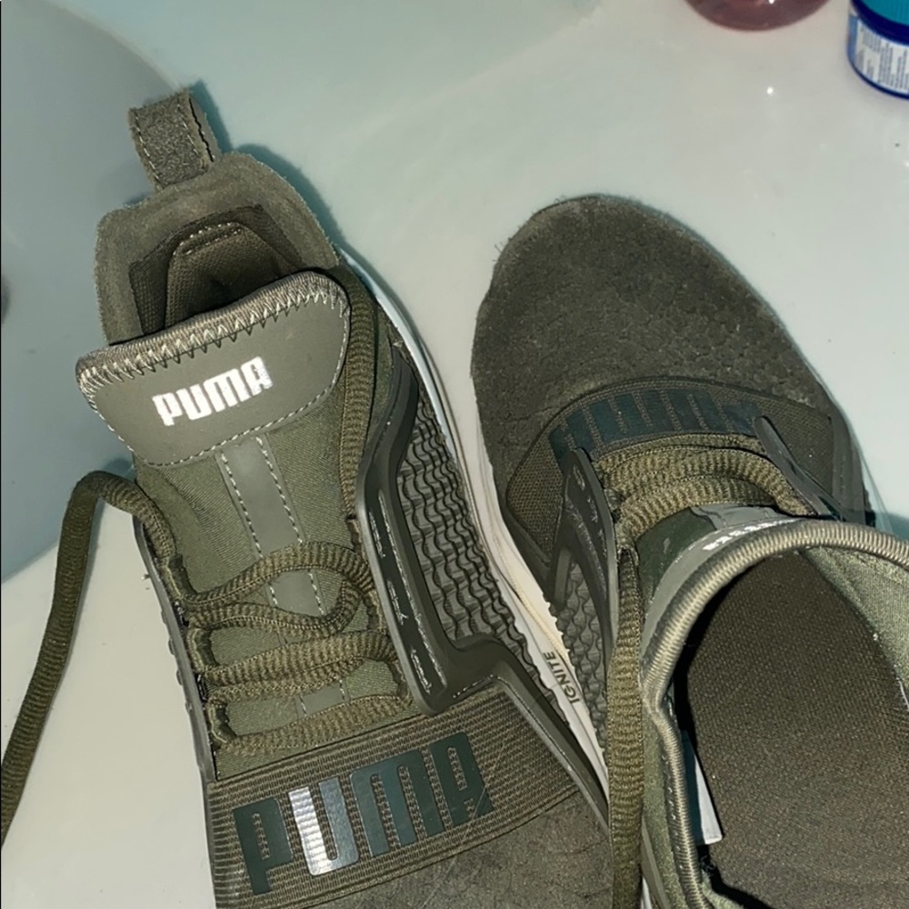 Pumas